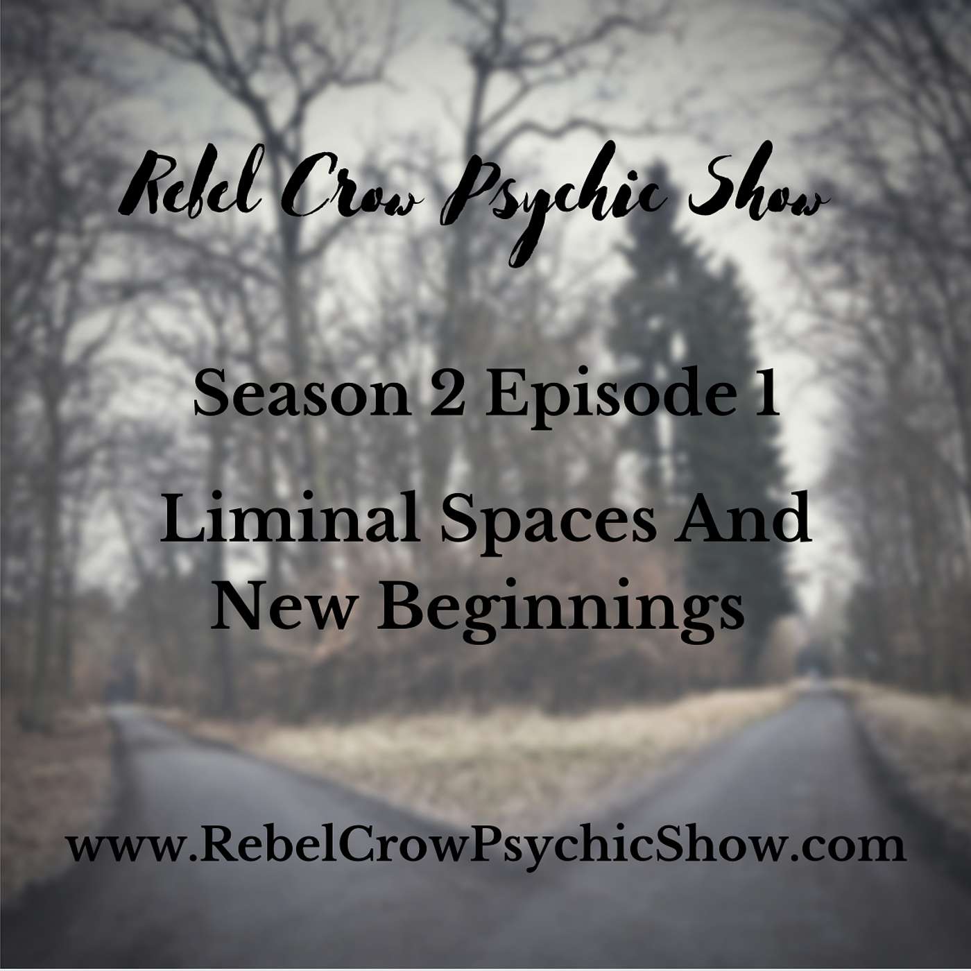 Rebel Crow Psychic Show
