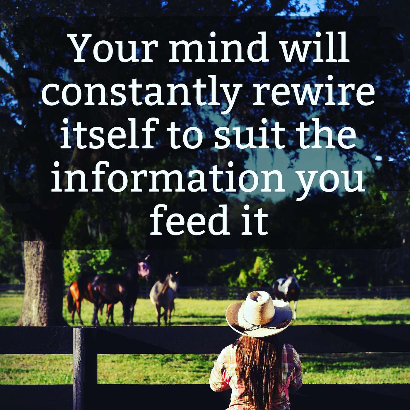 Reshape Your Reality episode artwork