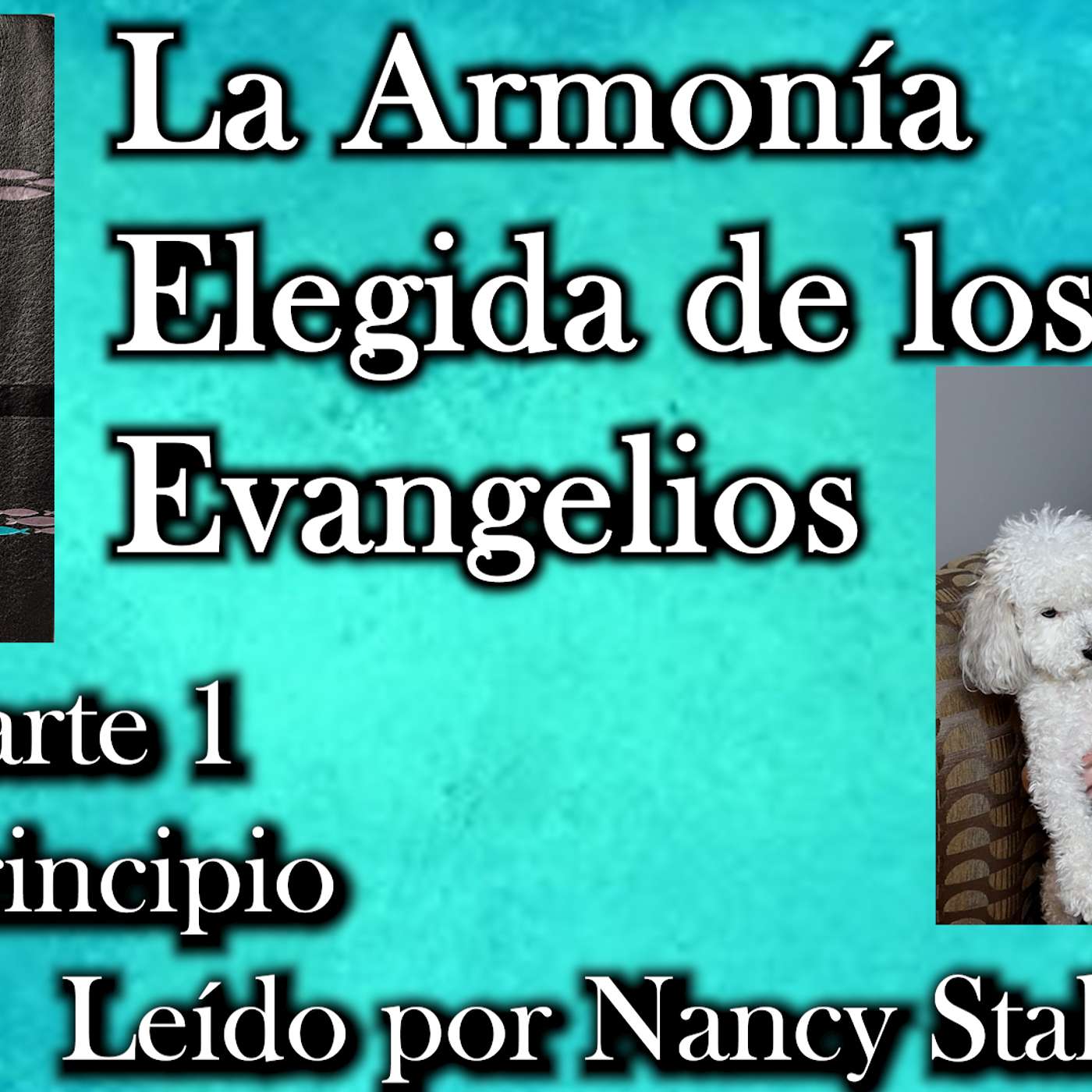Spanish: The Chosen's Blended Harmony of the Gospels Day 1 Part 1 read by Nancy Stallard episode artwork