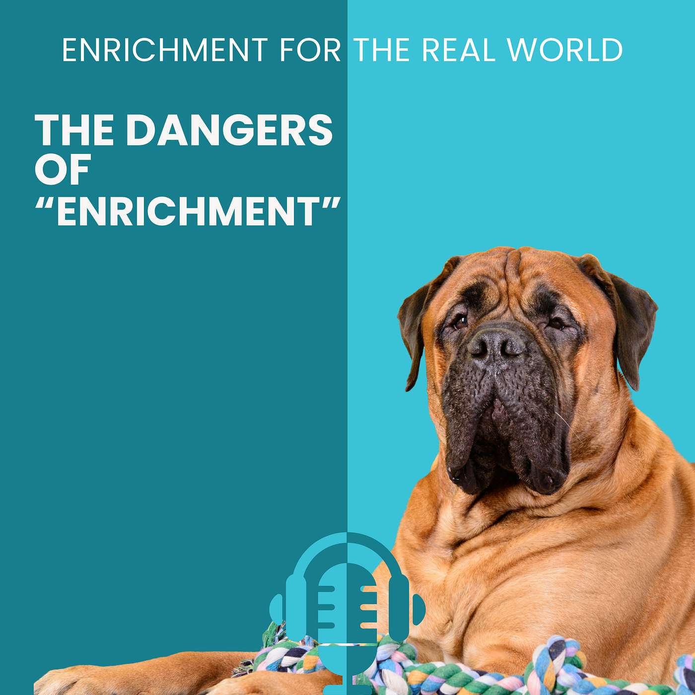 #149 - The Dangers of “Enrichment”