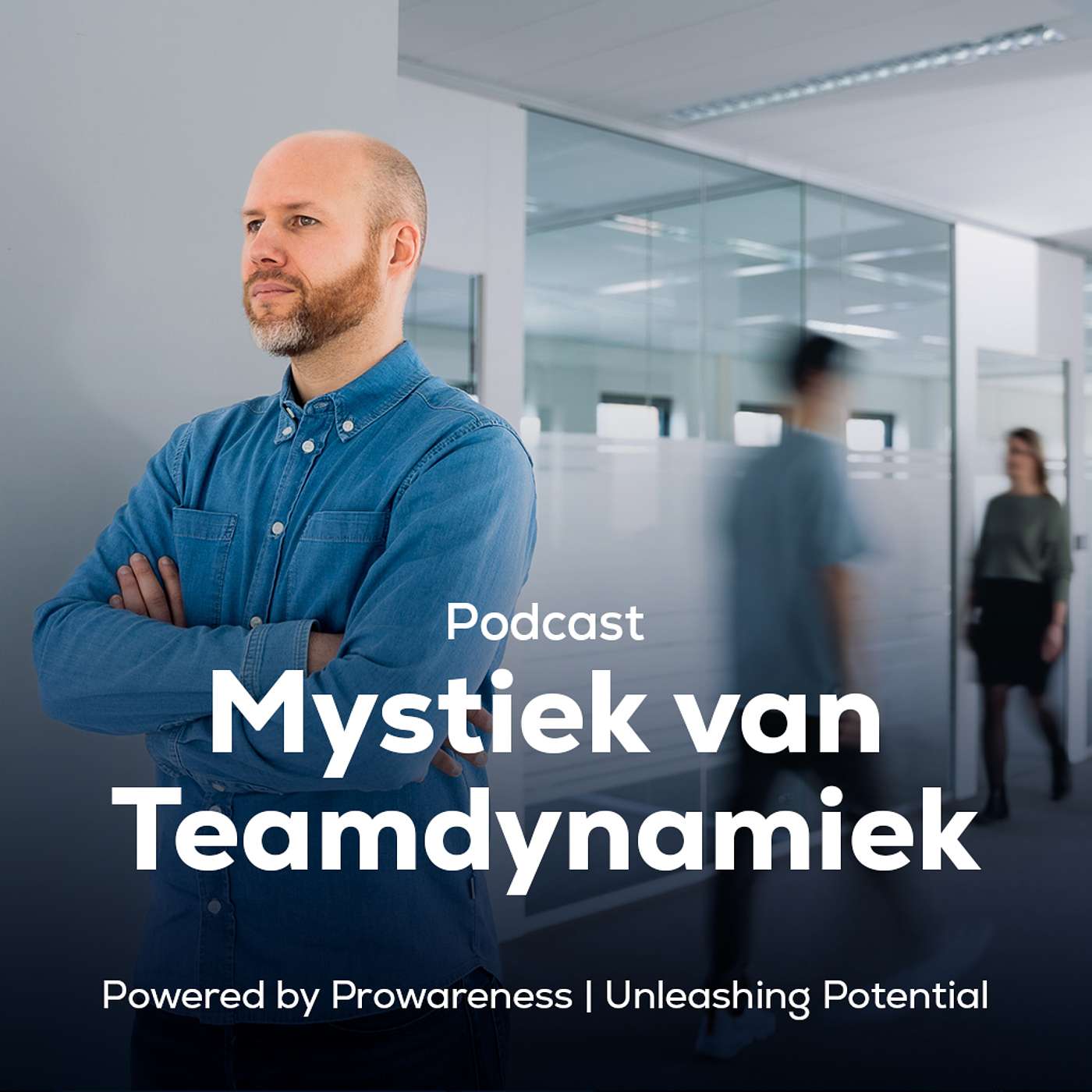 Prowareness Podcast - Mystiek van Teamdynamiek