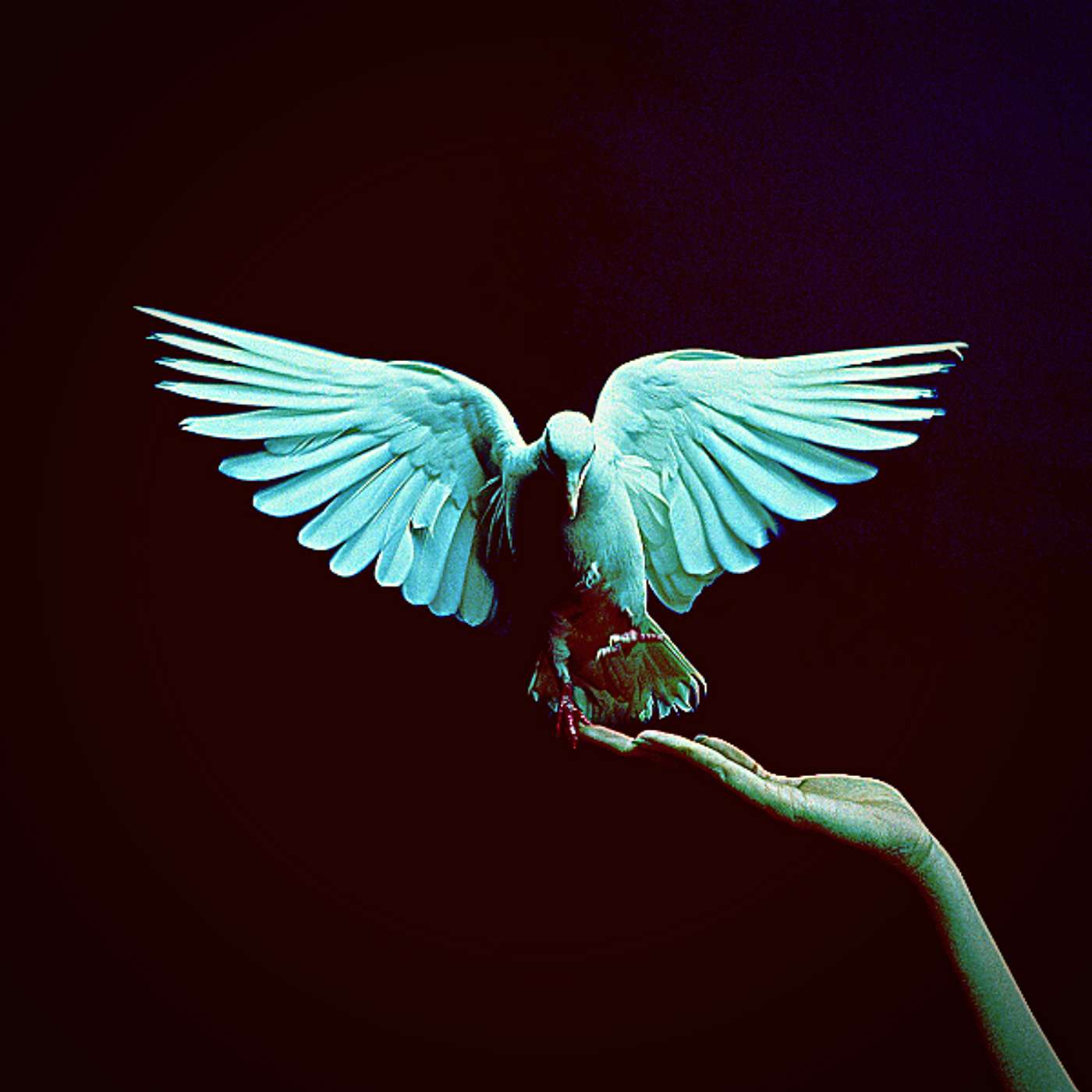 Let Every Lamp Be Burning Bright The Darkest Hour Is Nearing Acapella Hymns Nicholas Mazzio Lauren Mazzio The Rain
