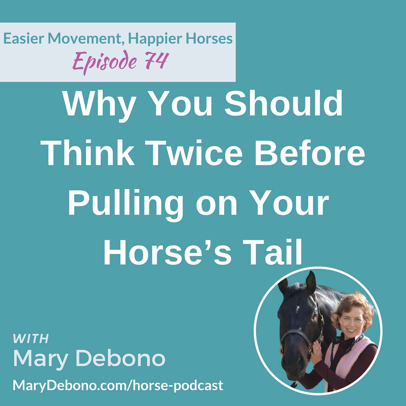 Why You Should Think Twice Before Pulling on Your Horse’s Tail