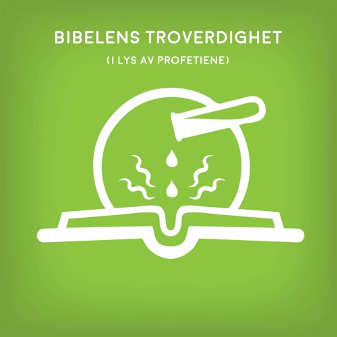 Bibelens troverdighet i lys av profetiene | del 1 | Magne Birkedal