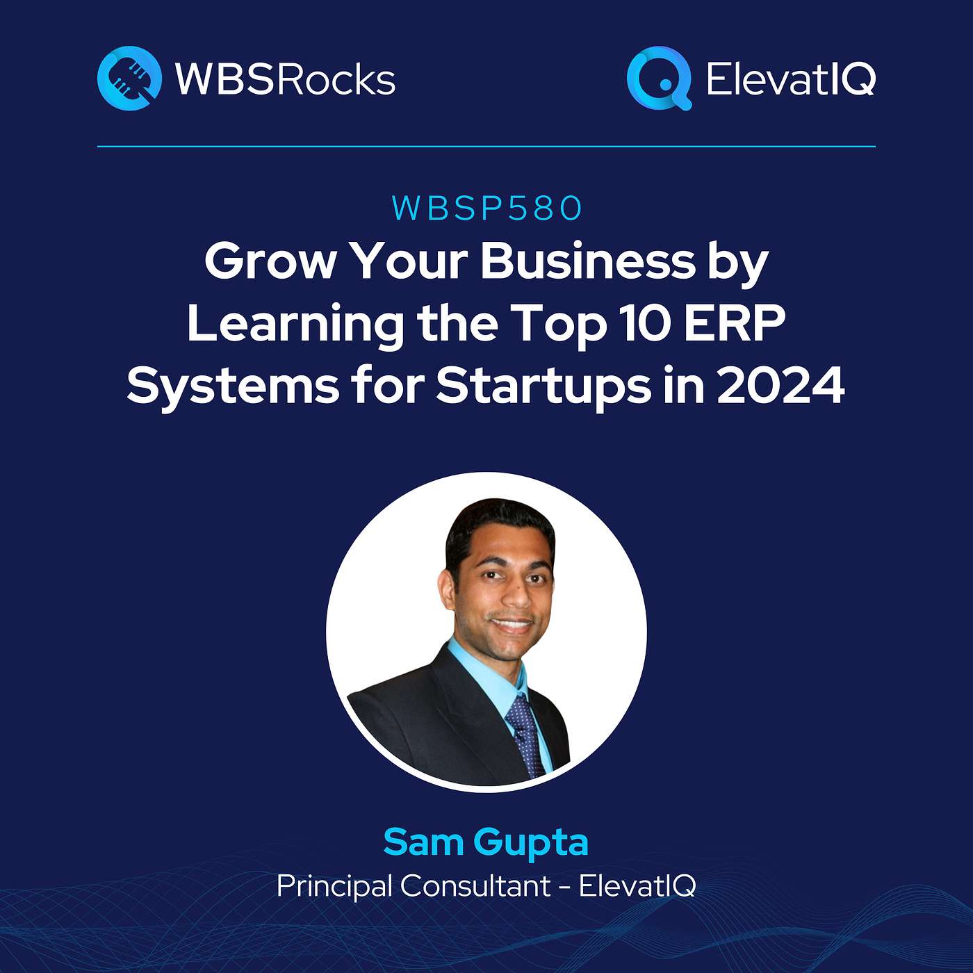 WBSP580: Grow Your Business by Learning the Top 10 ERP Systems for Startups in 2024 w/ Sam Gupta