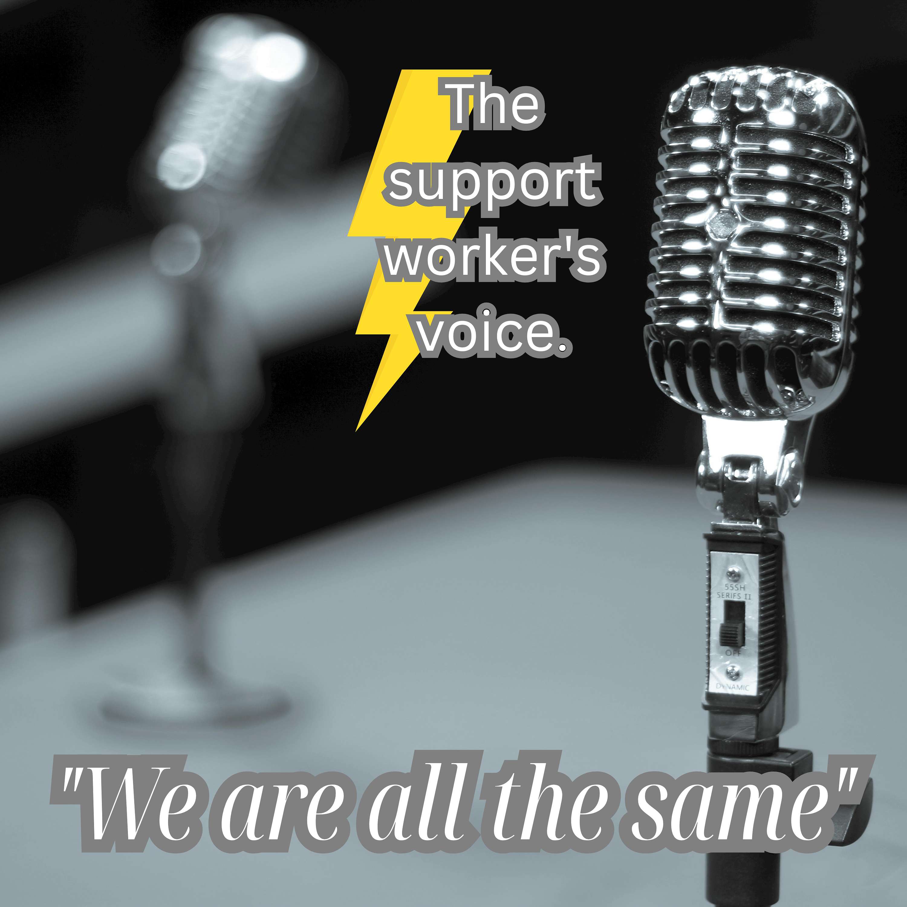 The support worker's voice