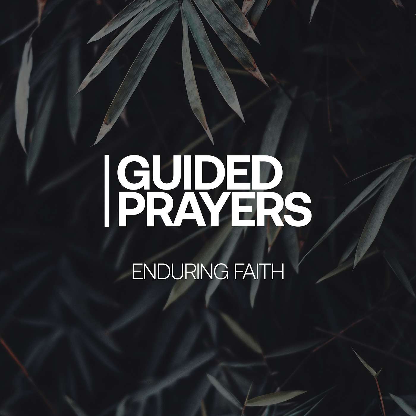 Your Faith Produces Perseverance | Guided Prayers episode artwork