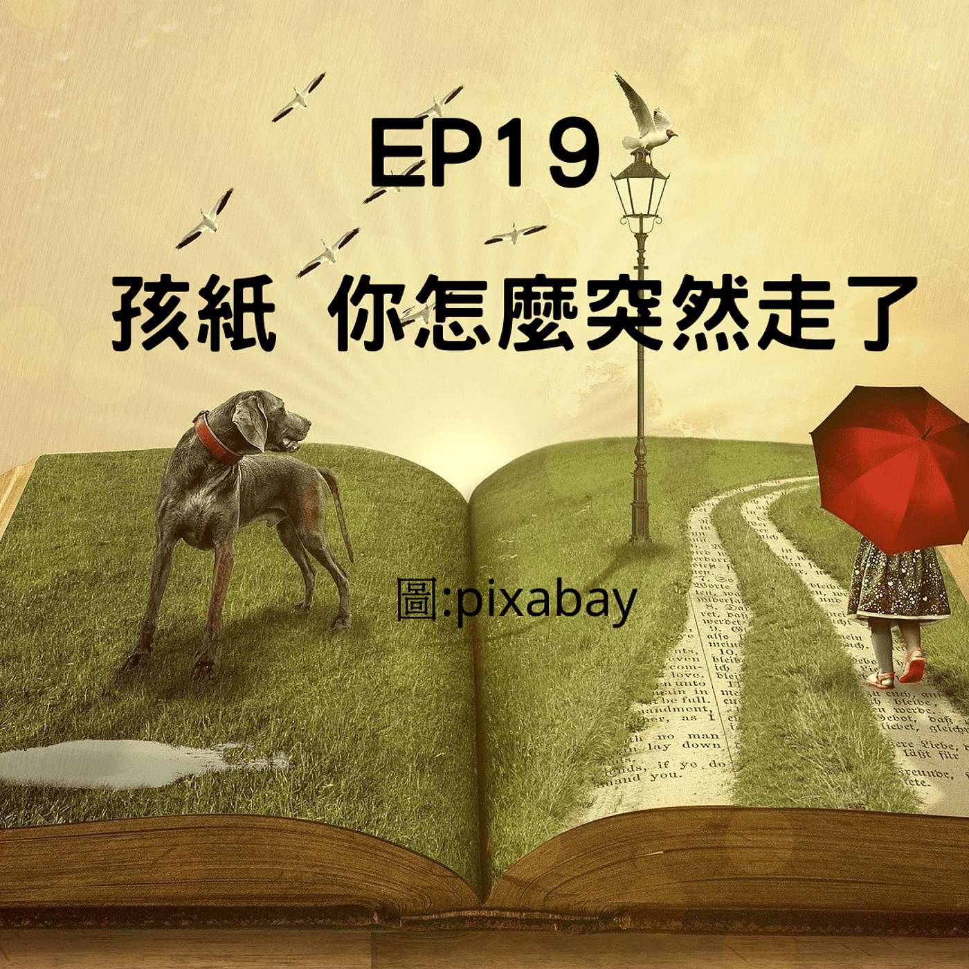 從0到1媒體人X斜槓EP19 孩紙，你怎麼就這樣走了？！可以告訴我原因嗎？ episode artwork