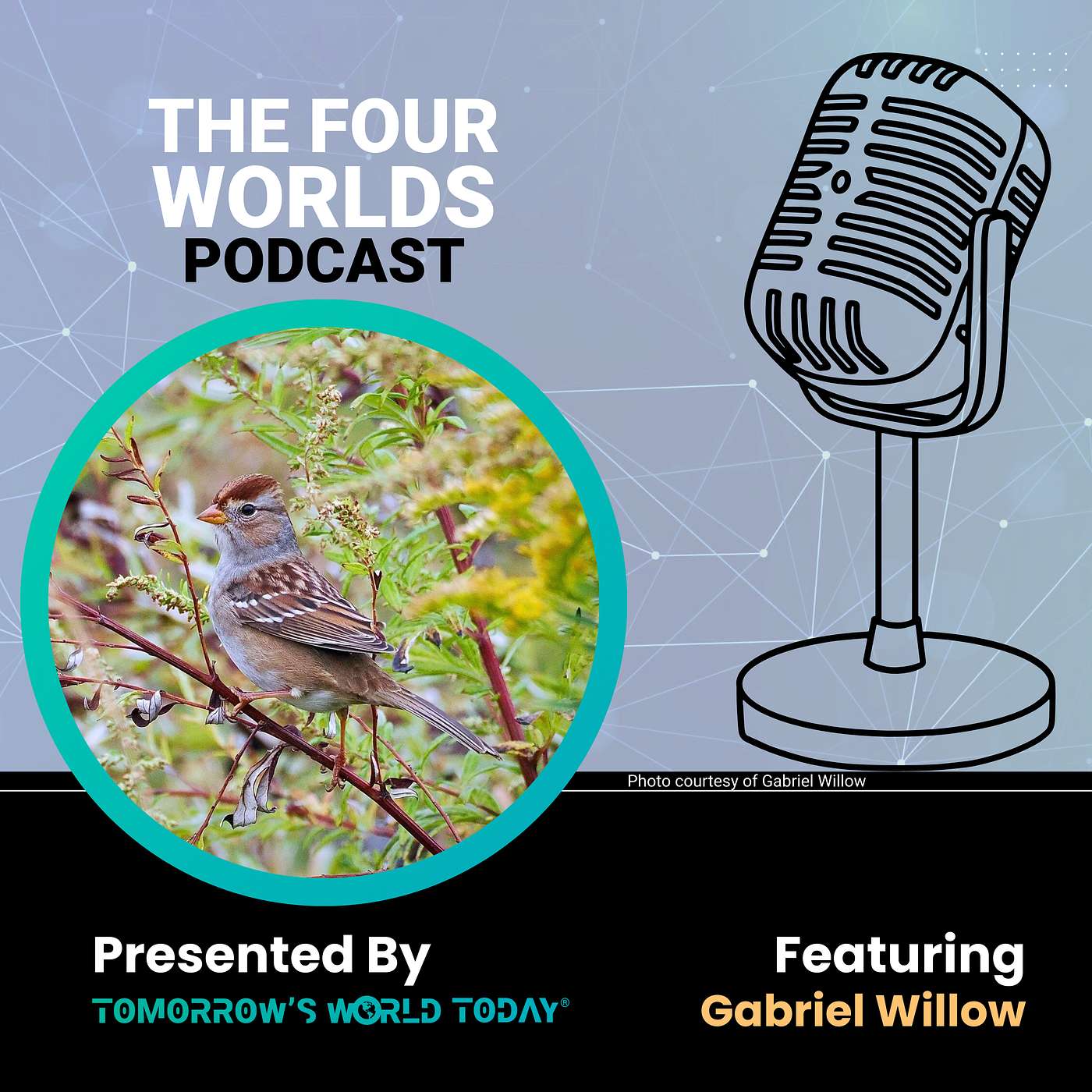 Gabriel Willow and the Hidden Nature of New York City