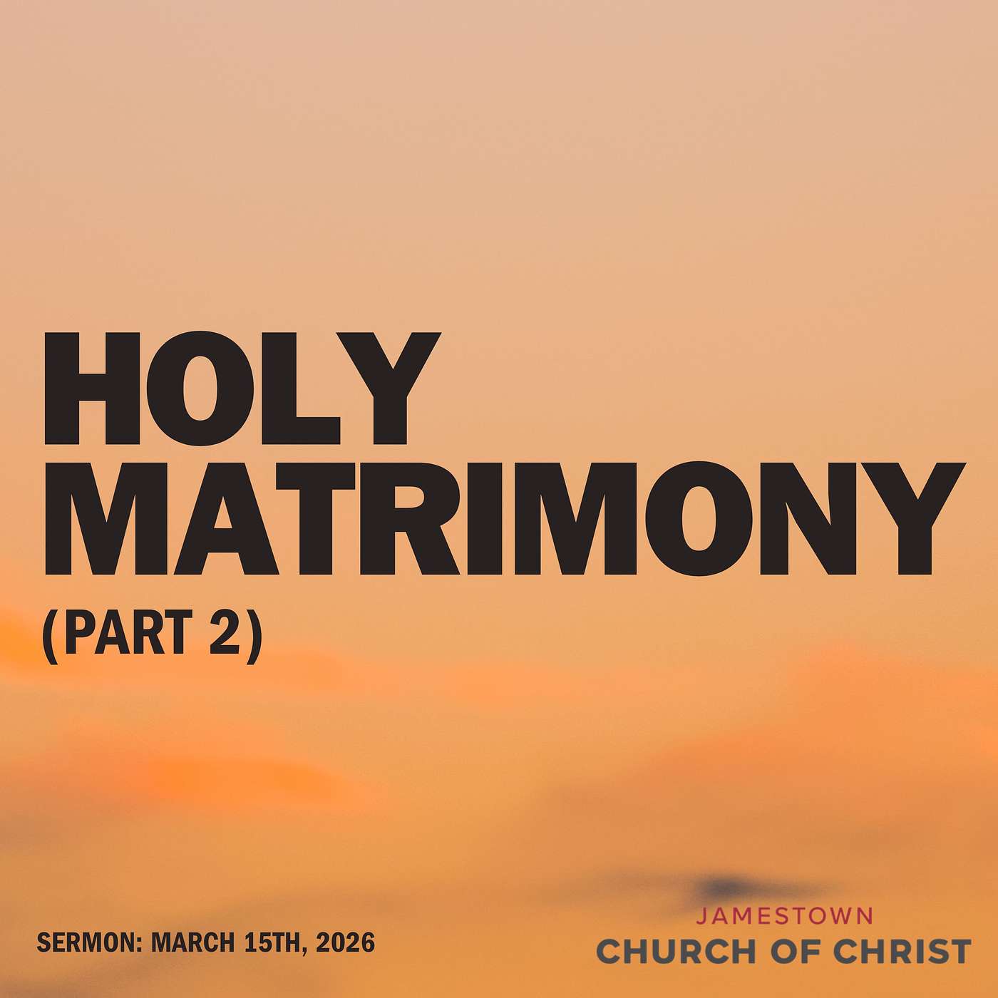 Holy Matrimony (Part 2) episode artwork