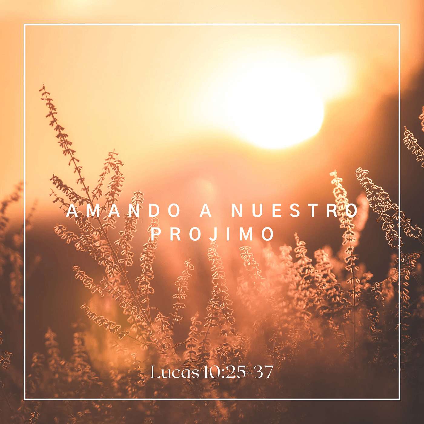 Amando a Nuestro Prójimo