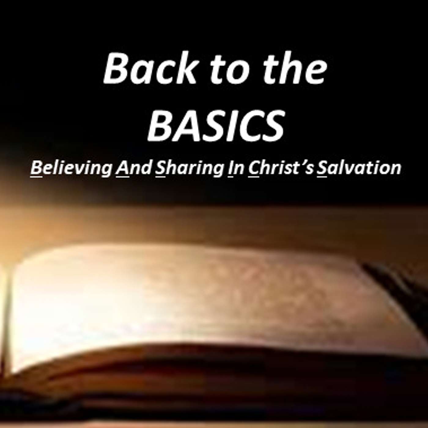 Back to the BASICS: Believing And Sharing In Christ's Salvation