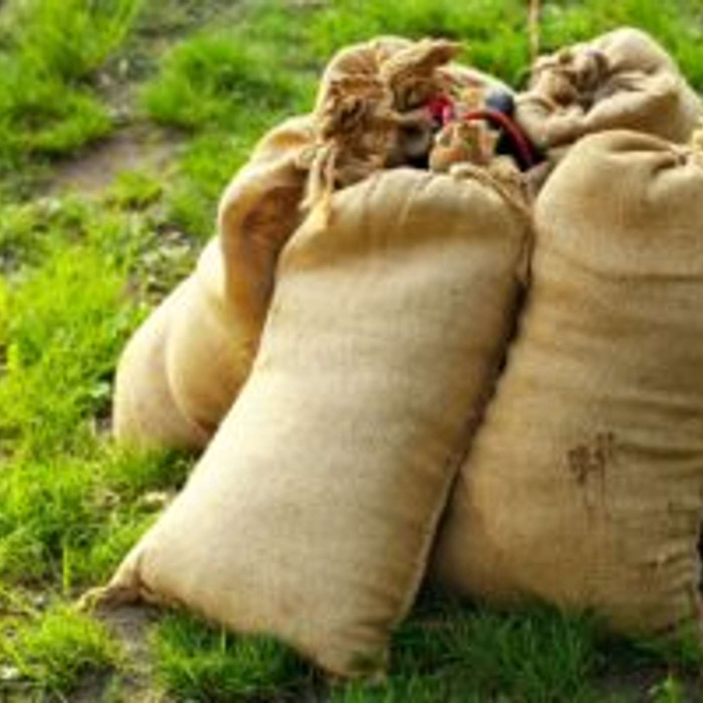 Sand Available for Residents Ahead of Monsoon in Phoenix episode artwork