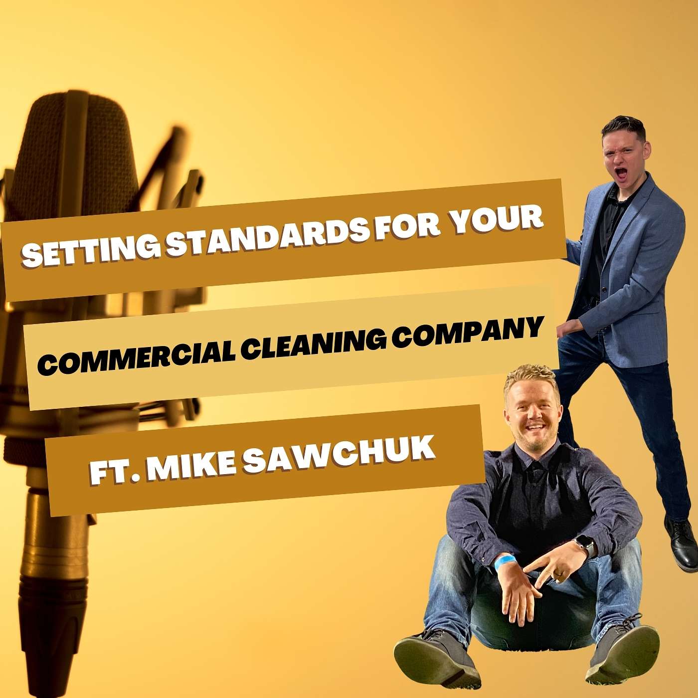 The Profitable Cleaner