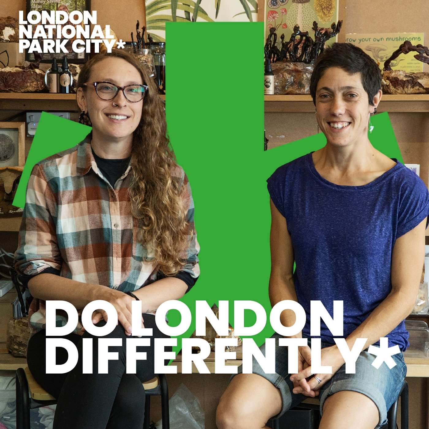 The London Fungi Festival - preview show