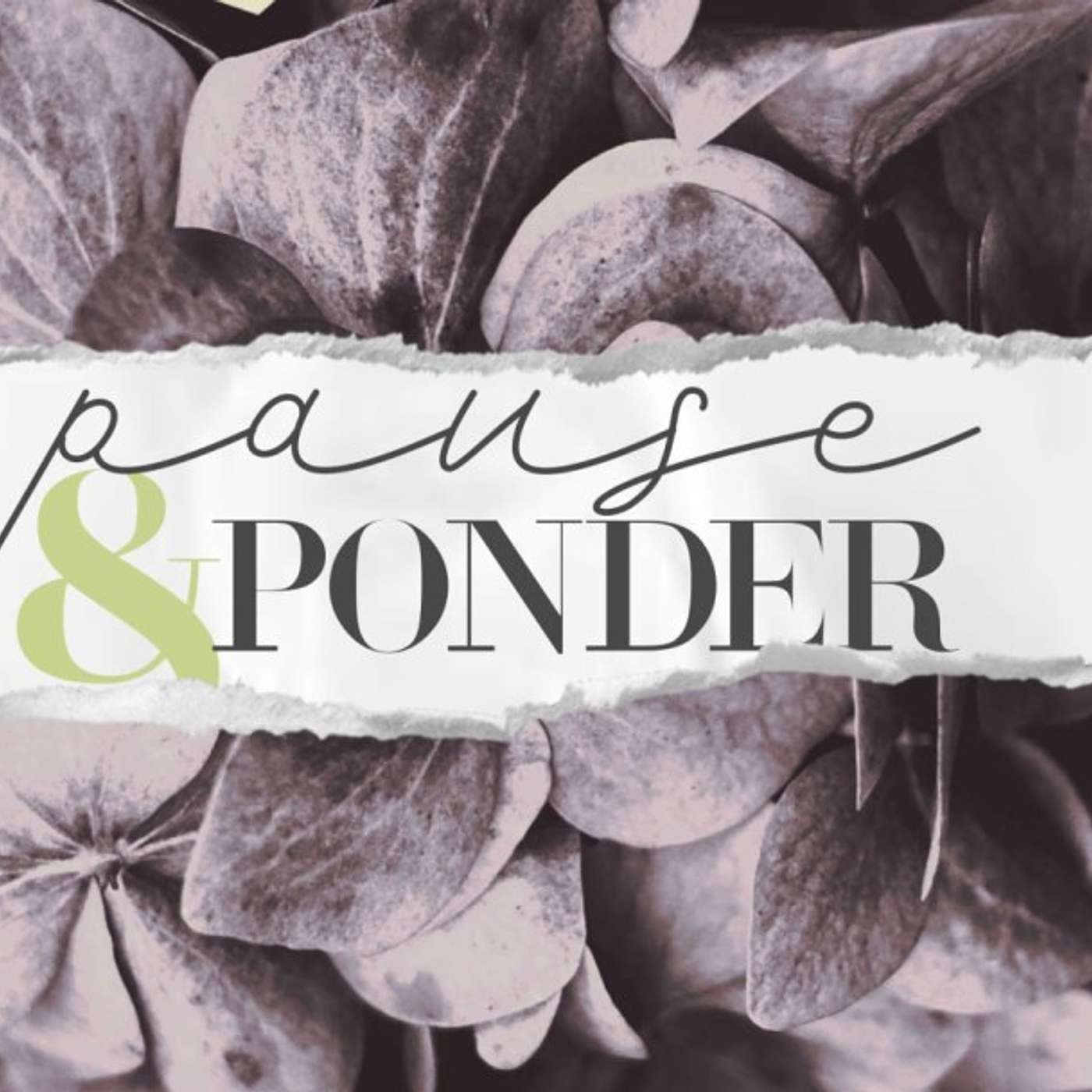 Womens Conference 2019 | Havilah Cunnington