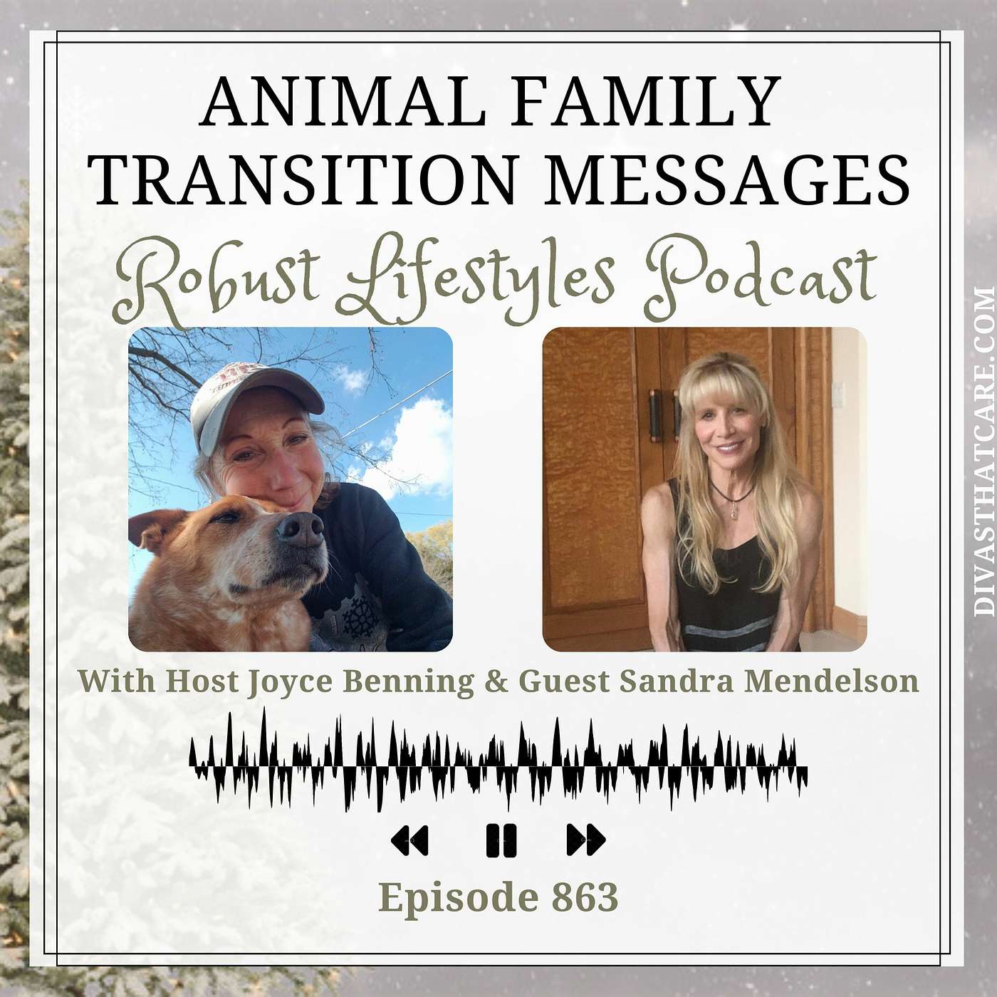 Animal Family Transition Messages episode artwork