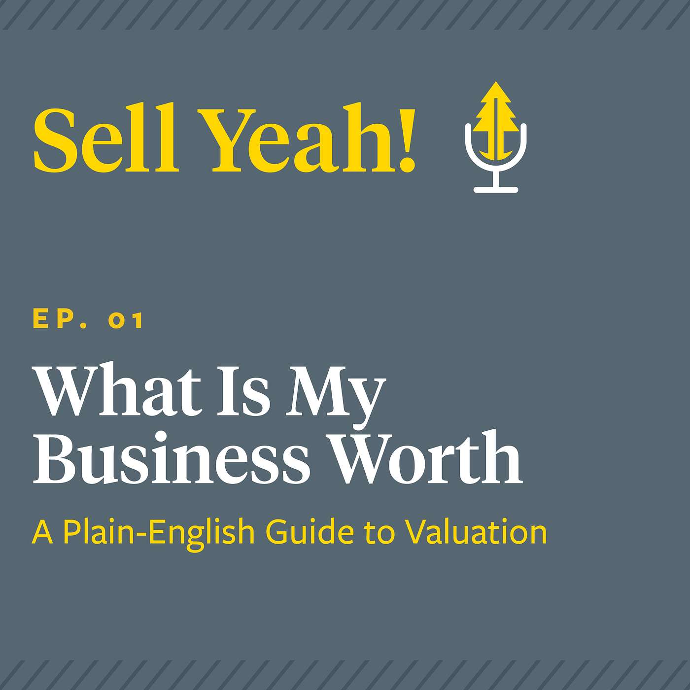 What Is My Business Worth? A Plain-English Guide to Valuation episode artwork
