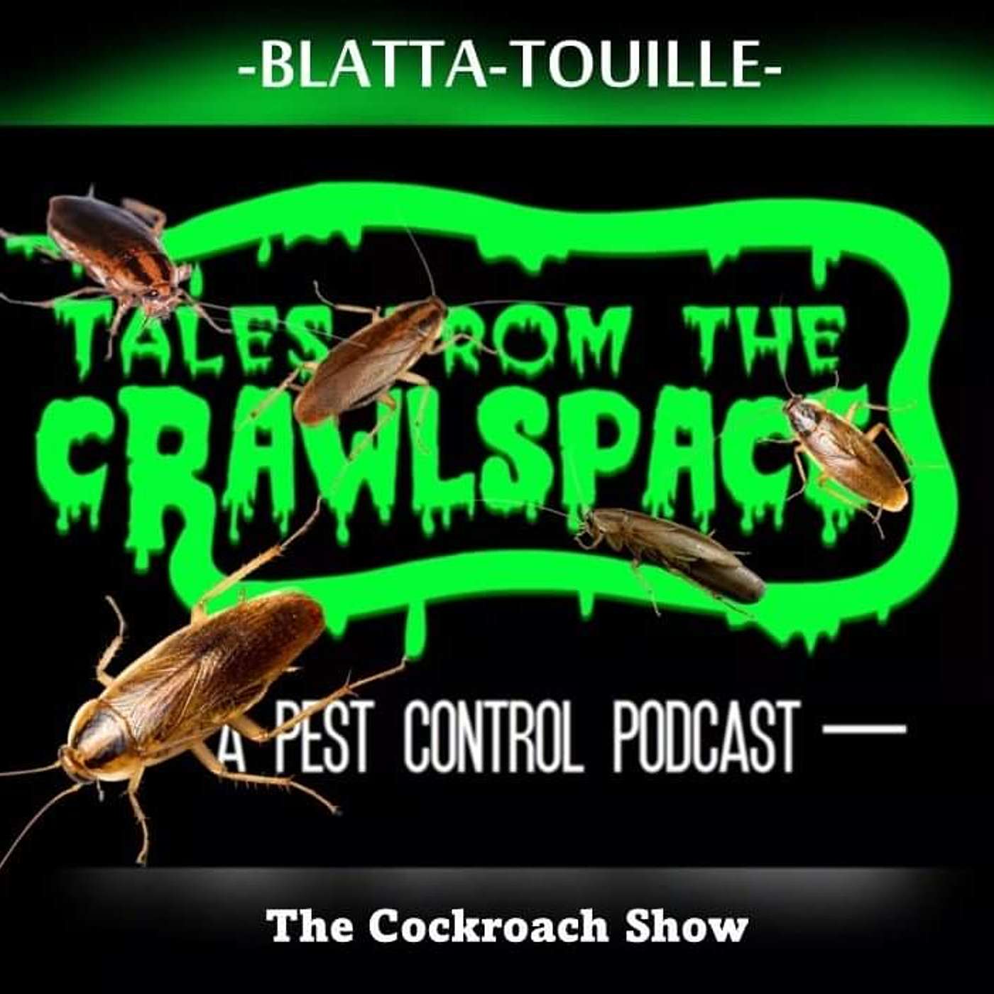 Blatta~Touille: The Cockroach Episode