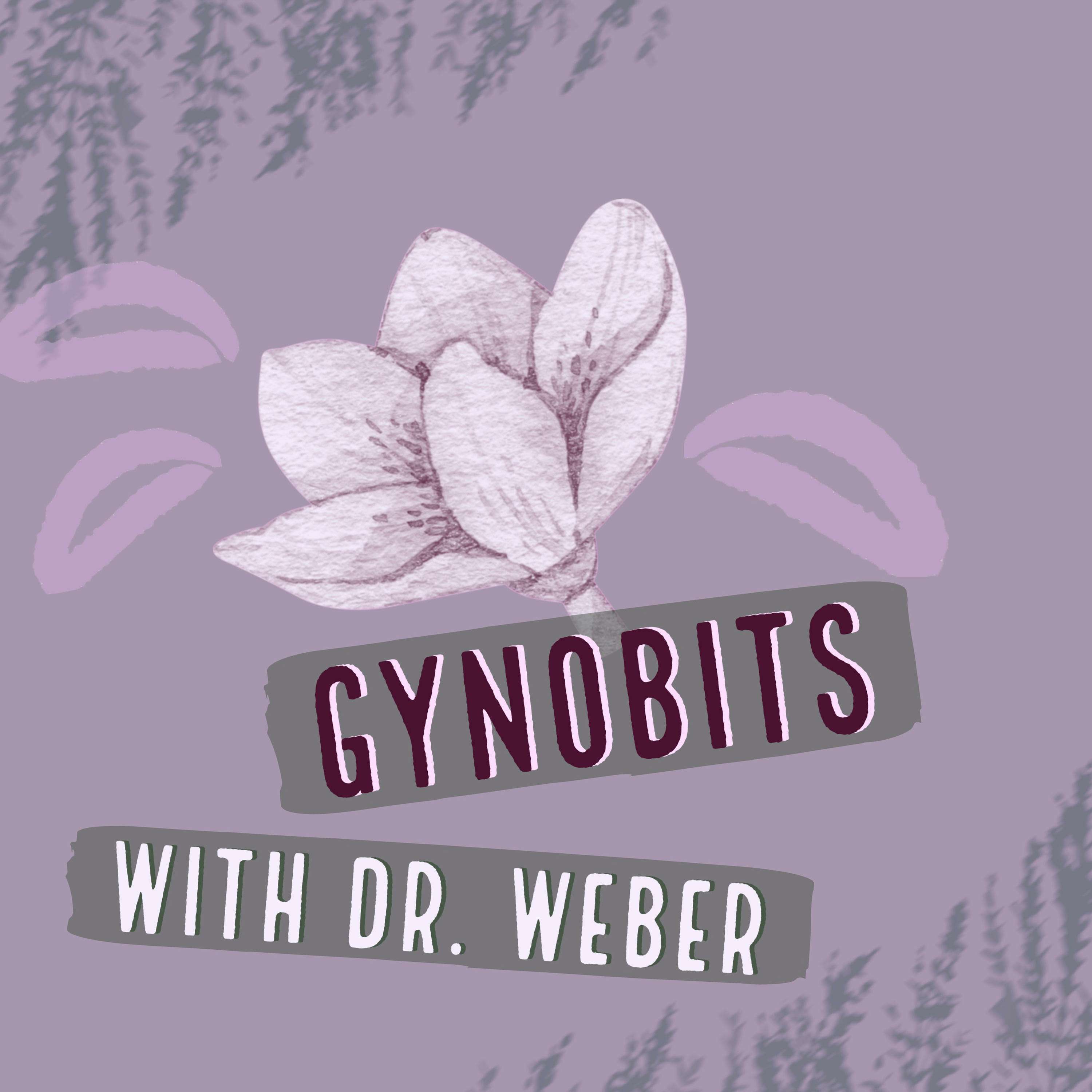 GynoBits with Dr. Weber