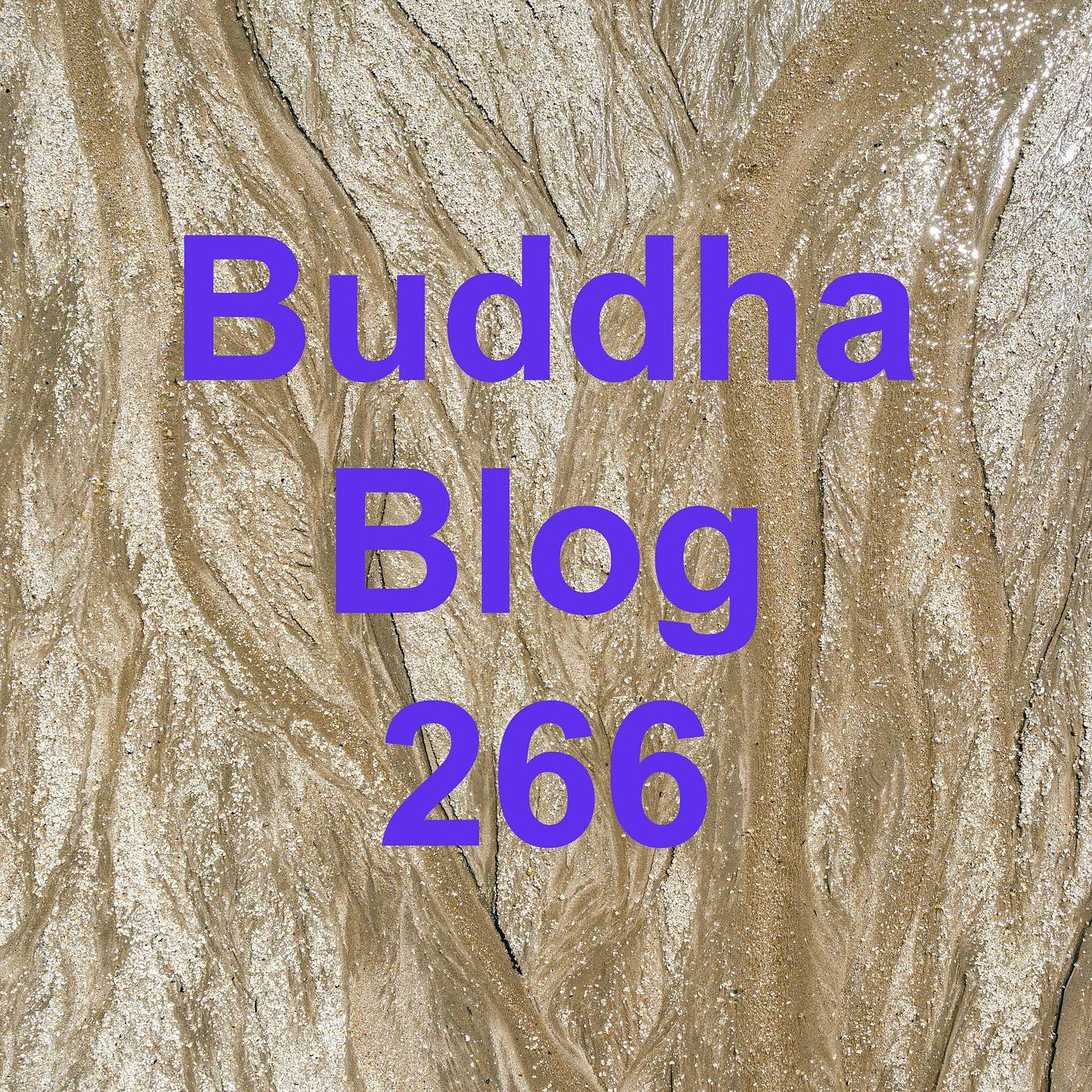 266-Visionen - Buddha Blog Podcast - Buddhismus im Alltag 266-Visionen - Buddha Blog Podcast - Buddhismus im Alltag