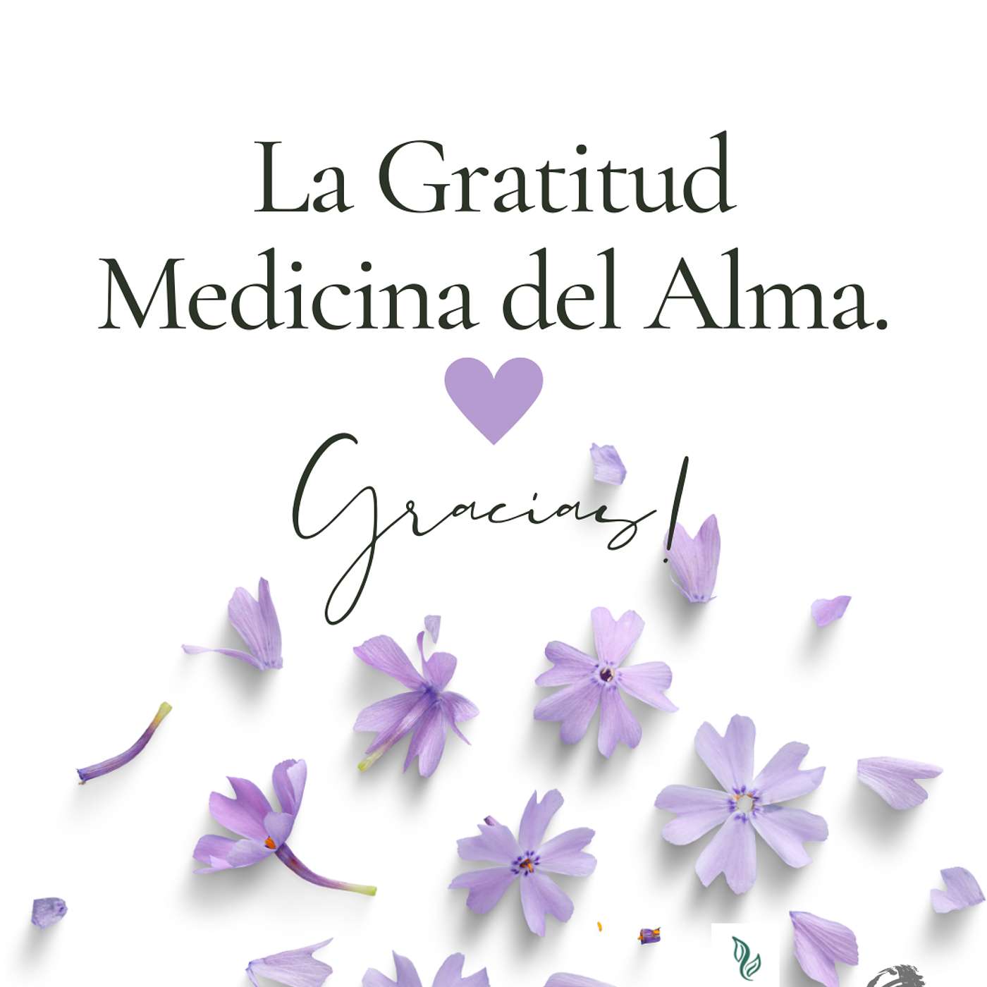 La Gratitud Medicina del Alma. Cómo Practicarla. Qué dicen los Estudios episode artwork
