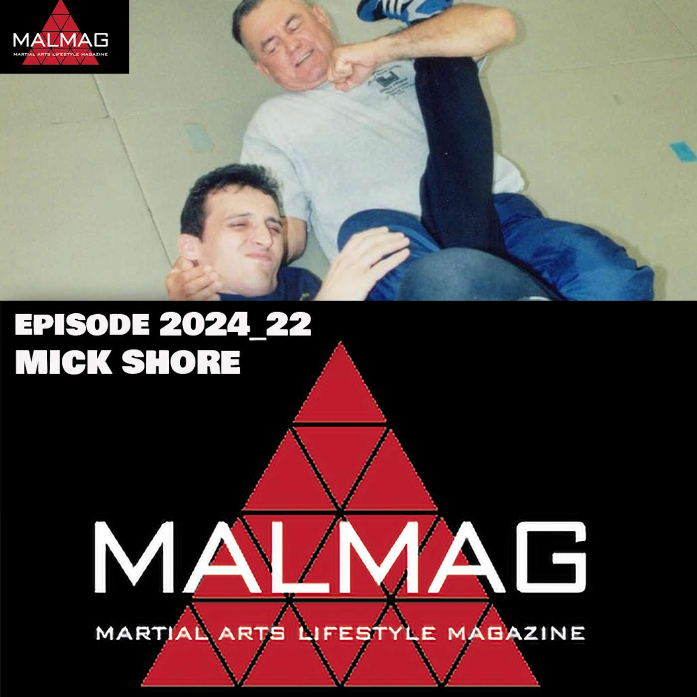The Martial Arts Lifestyle Podcast