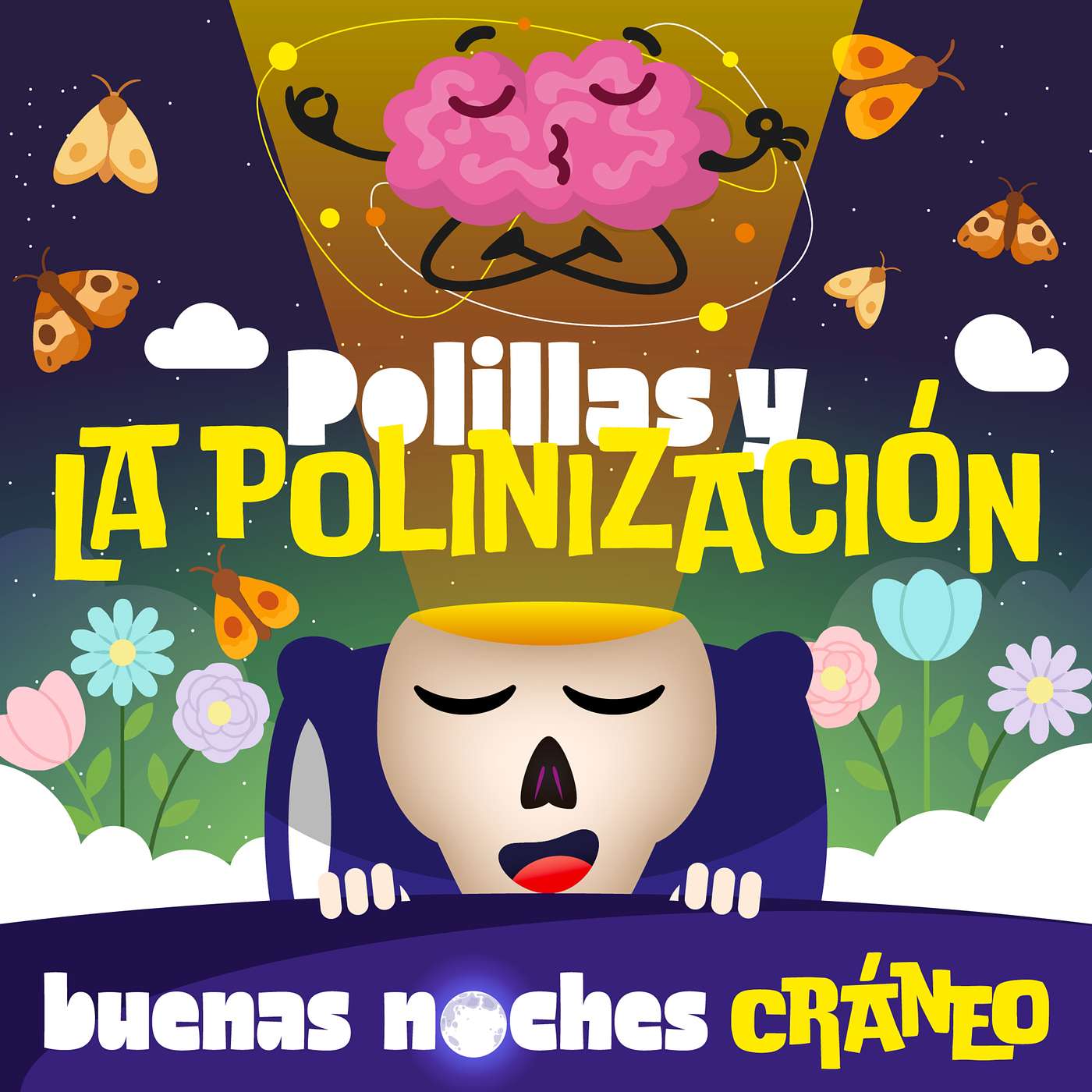 Polillas y la polinización de noche (asombro) episode artwork