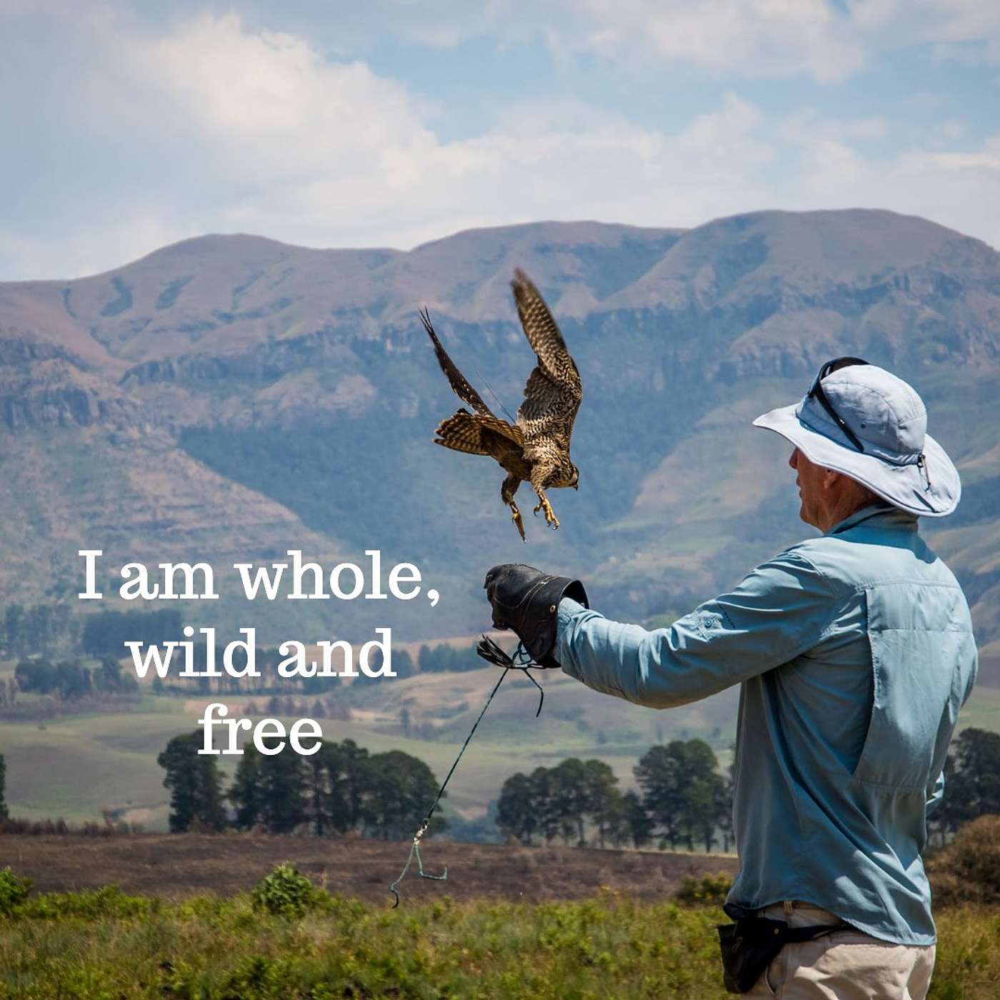 #244 I am whole, wild and free episode artwork