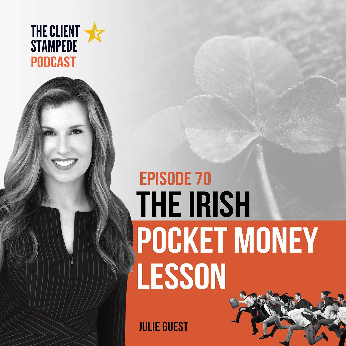 #70 The Irish Pocket Money Marketing Lesson