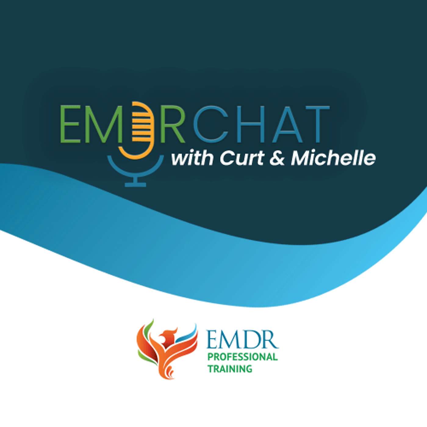 EMDR Chat #34  What about using Technology for Virtual EMDR Therapy Sessions?