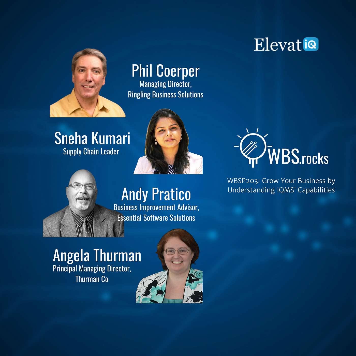 WBSRocks: Business Growth with Enterprise Software and Digital Transformation