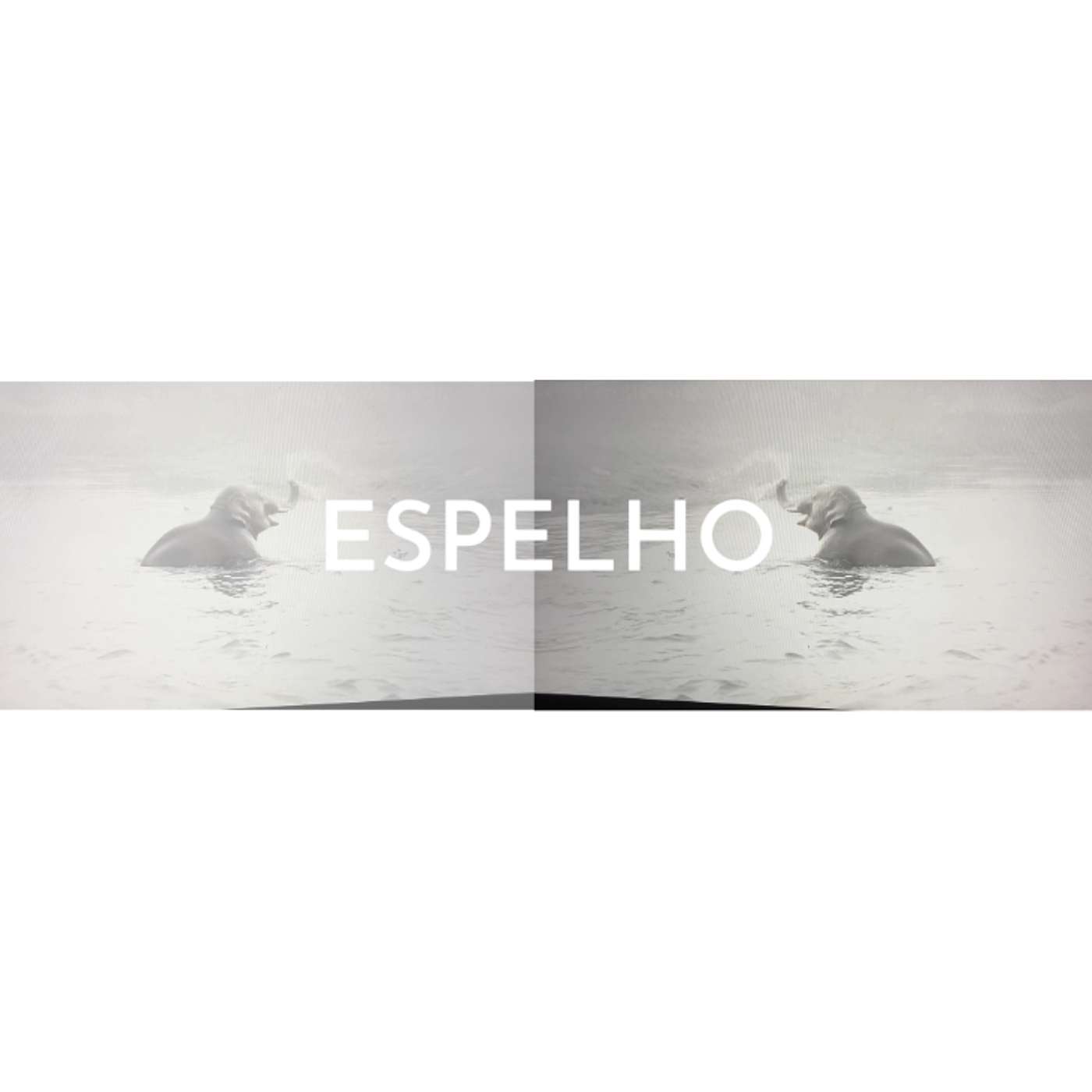Elefantes na Neblina