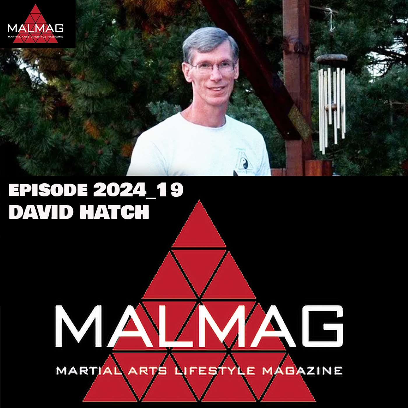 The Martial Arts Lifestyle Podcast