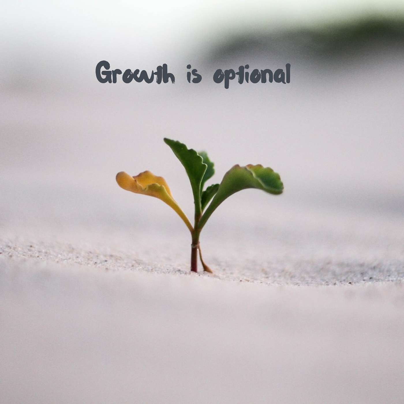 #199 growth is optional episode artwork