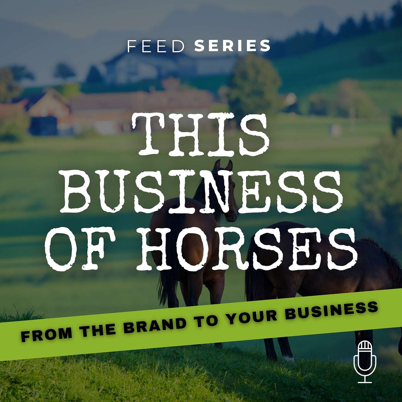 Getting to know...Hi Form Equine UK