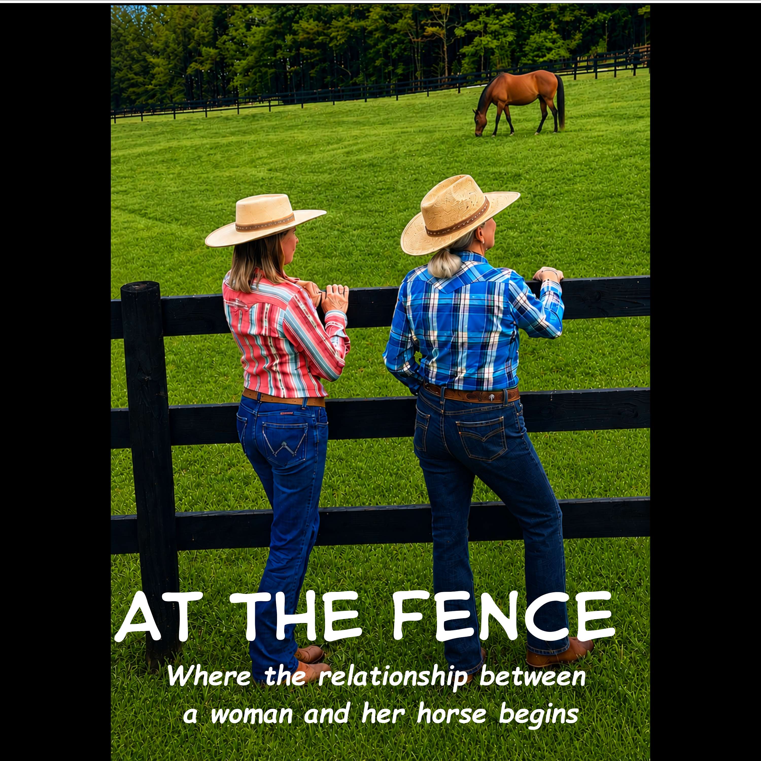 At The Fence podcast artwork