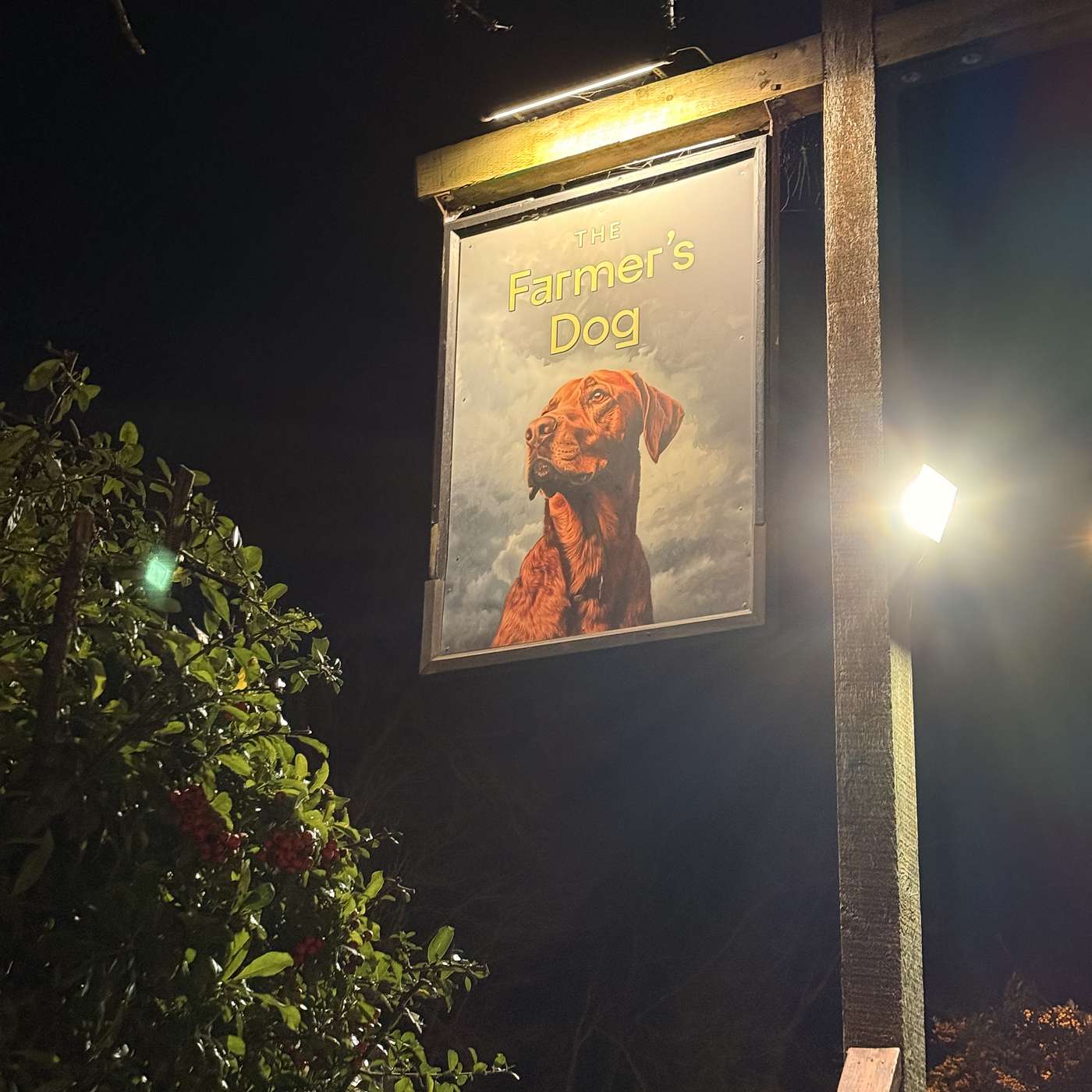 Nutting, beekeeping and folly in Melstock; Wolsey avoids the Tower and kisses the earth; and a visit to The Farmer’s Dog