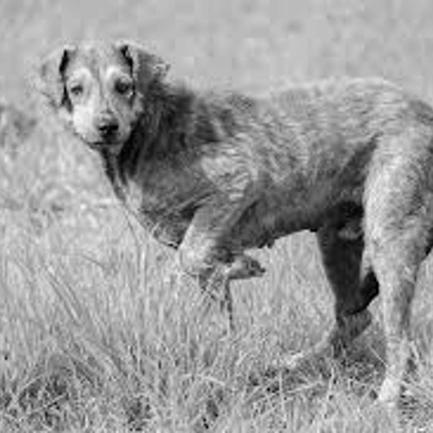 Ahi che male! l'importanza della percezione del dolore Ahi che male! l'importanza della percezione del dolore