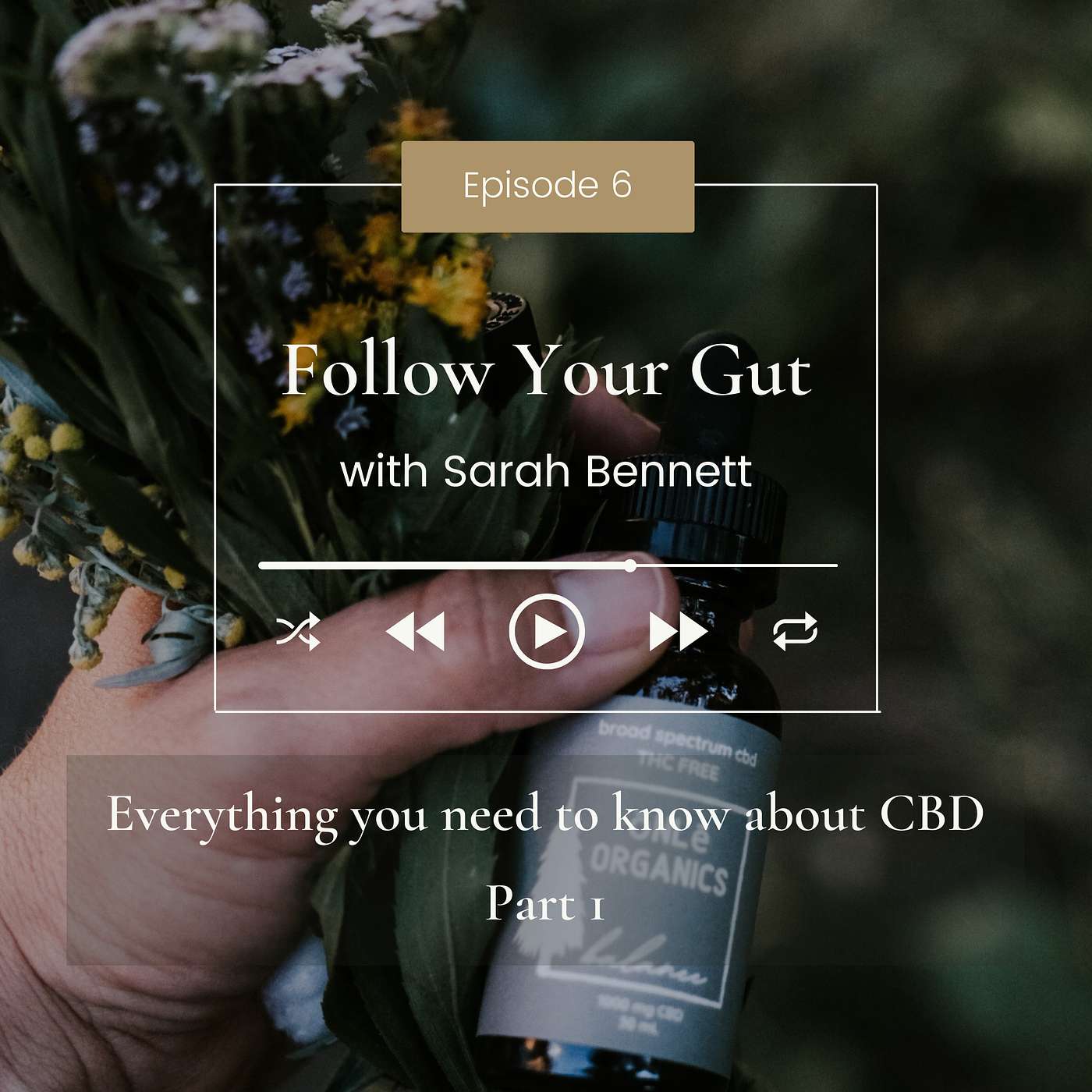 Everything you need to know about CBD Part 1