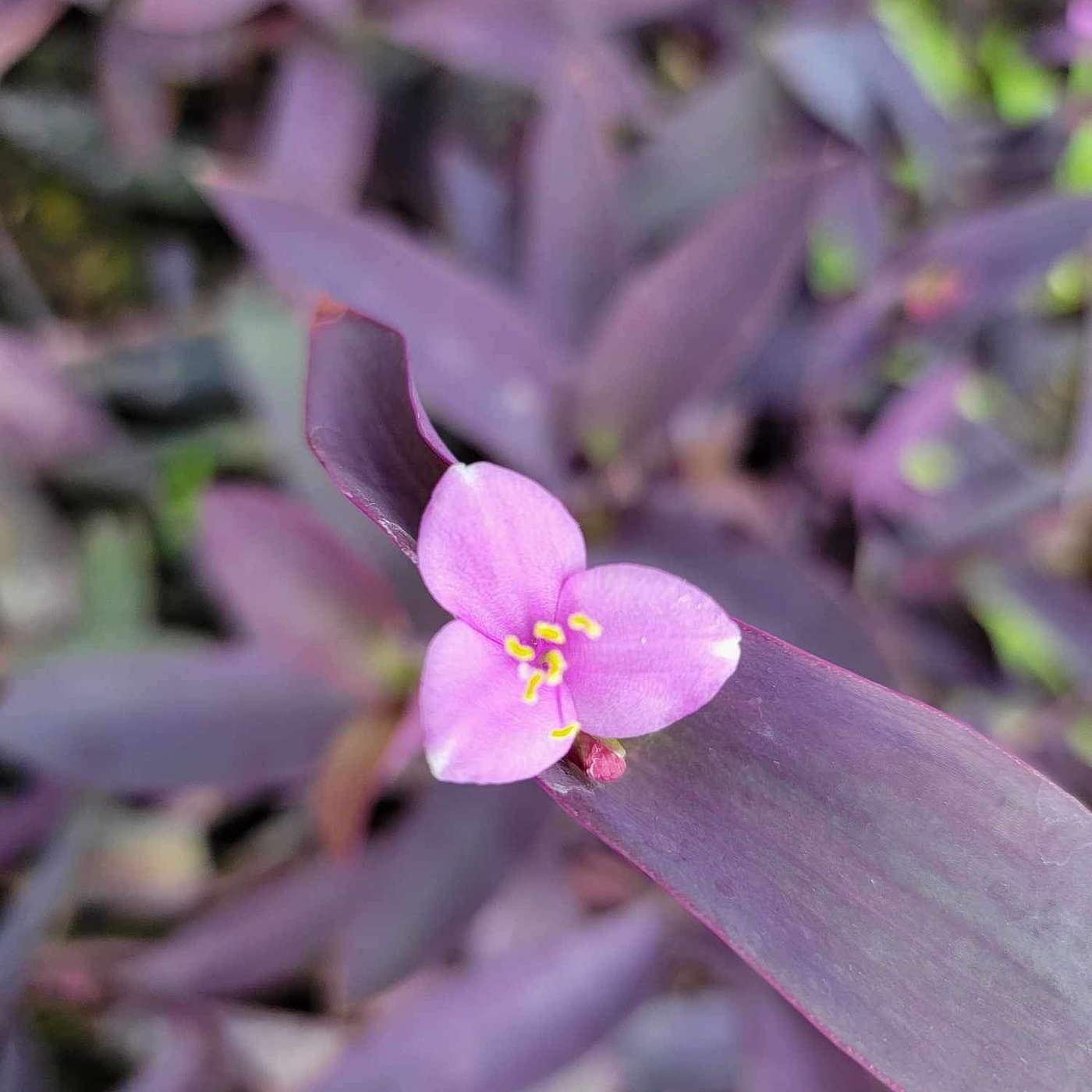 The right place at the right time. The right place at the right time.