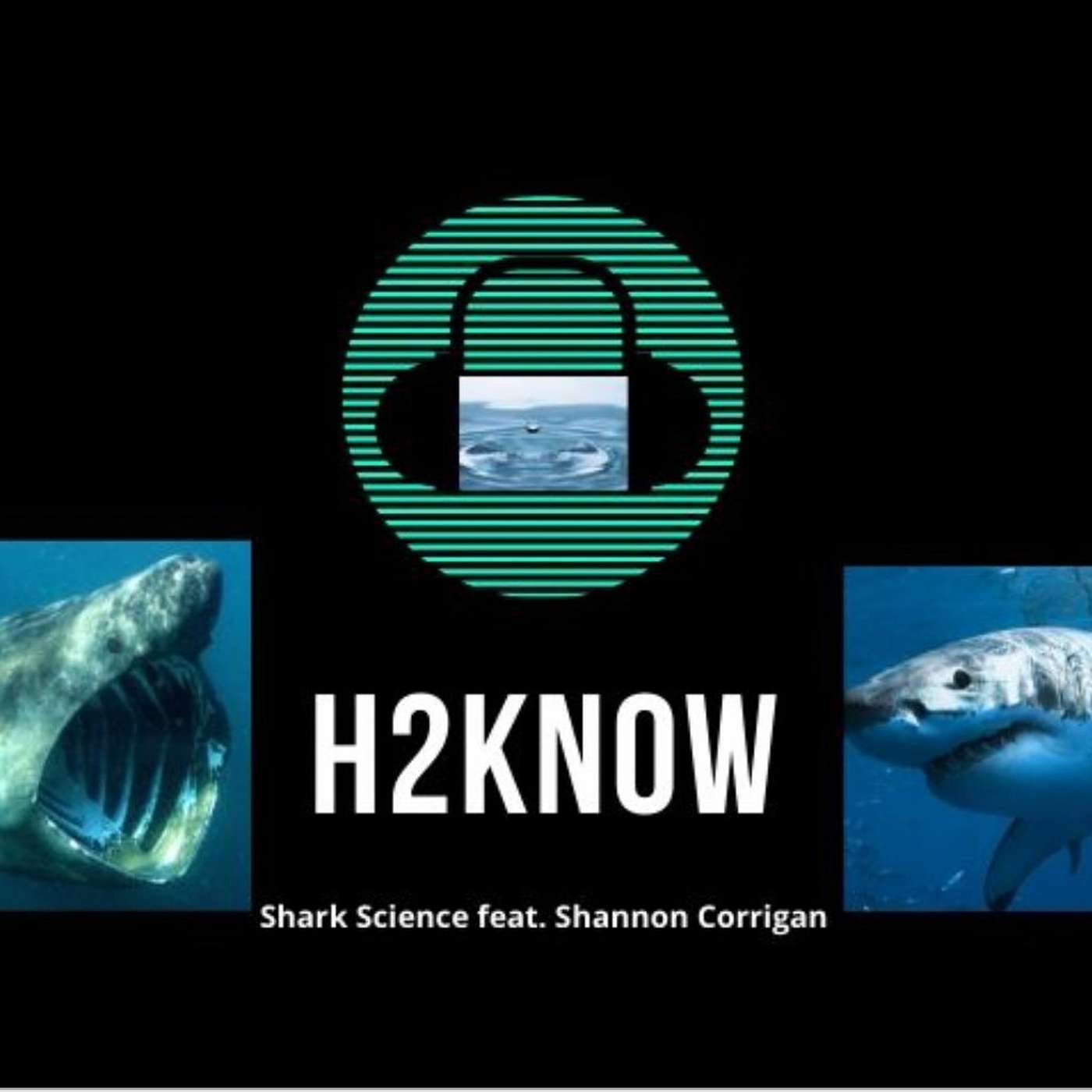 H2Know: Sharks, Water, and Science episode artwork