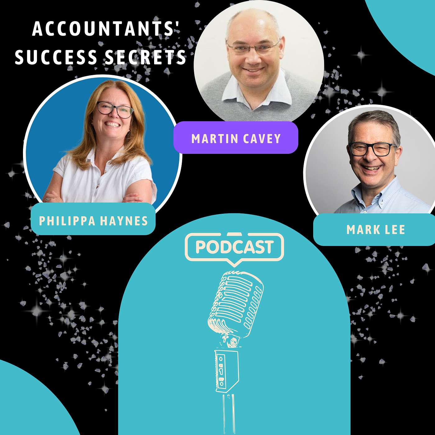 Accountants\' Success Secrets