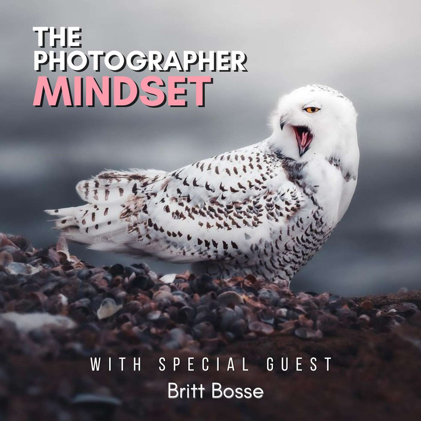 The Photographer Mindset