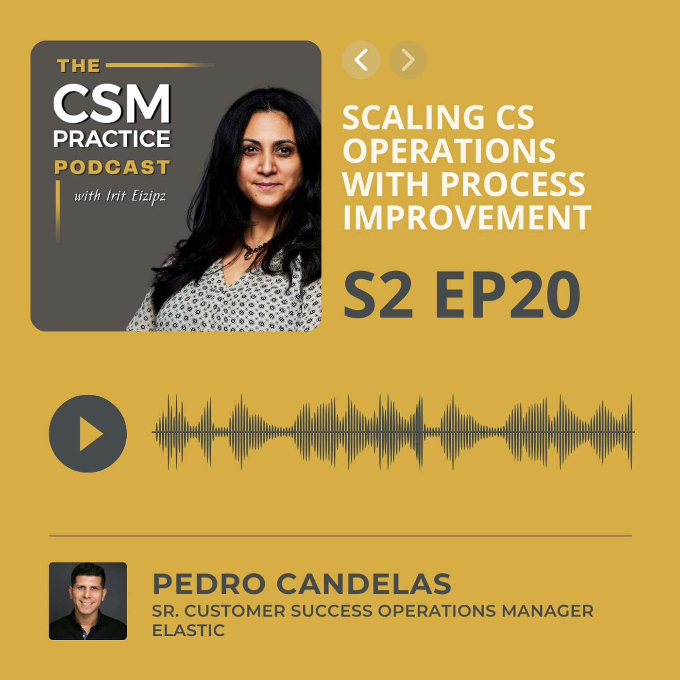 CSM Practice - The Customer Success Podcast