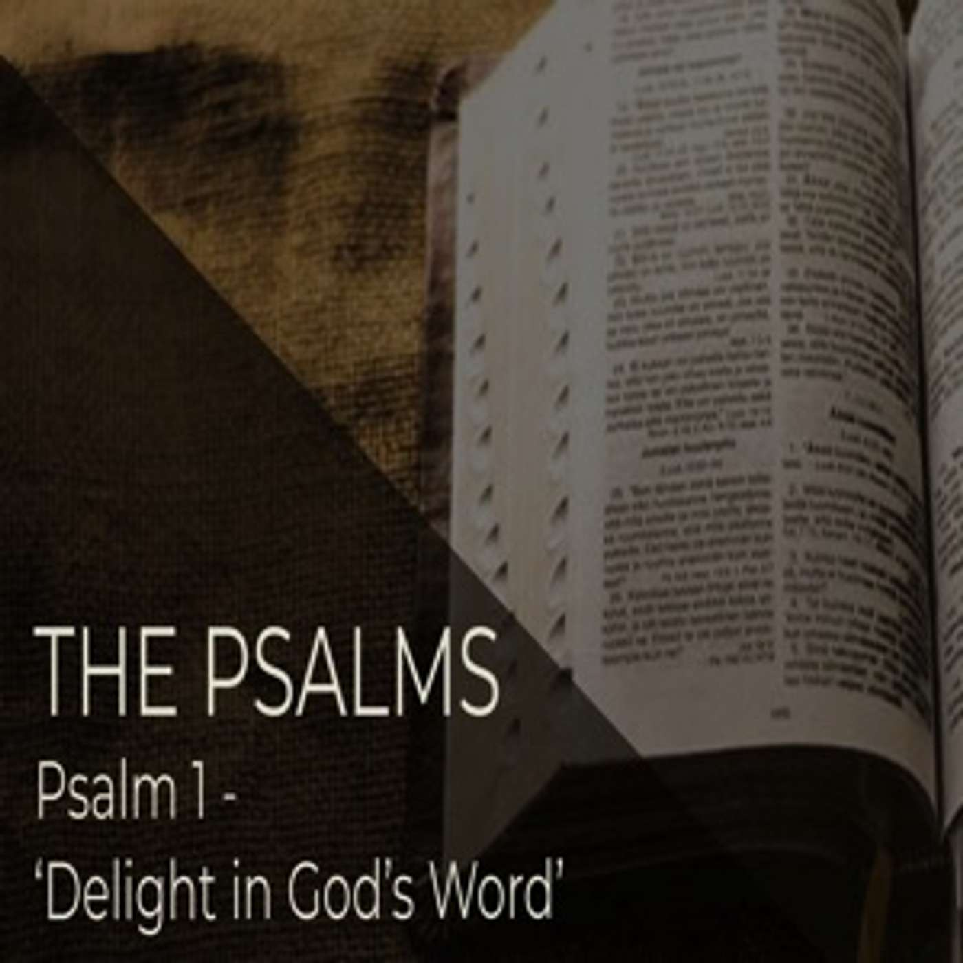 The Psalms - Psalm 1 - Delight In God's Word episode artwork
