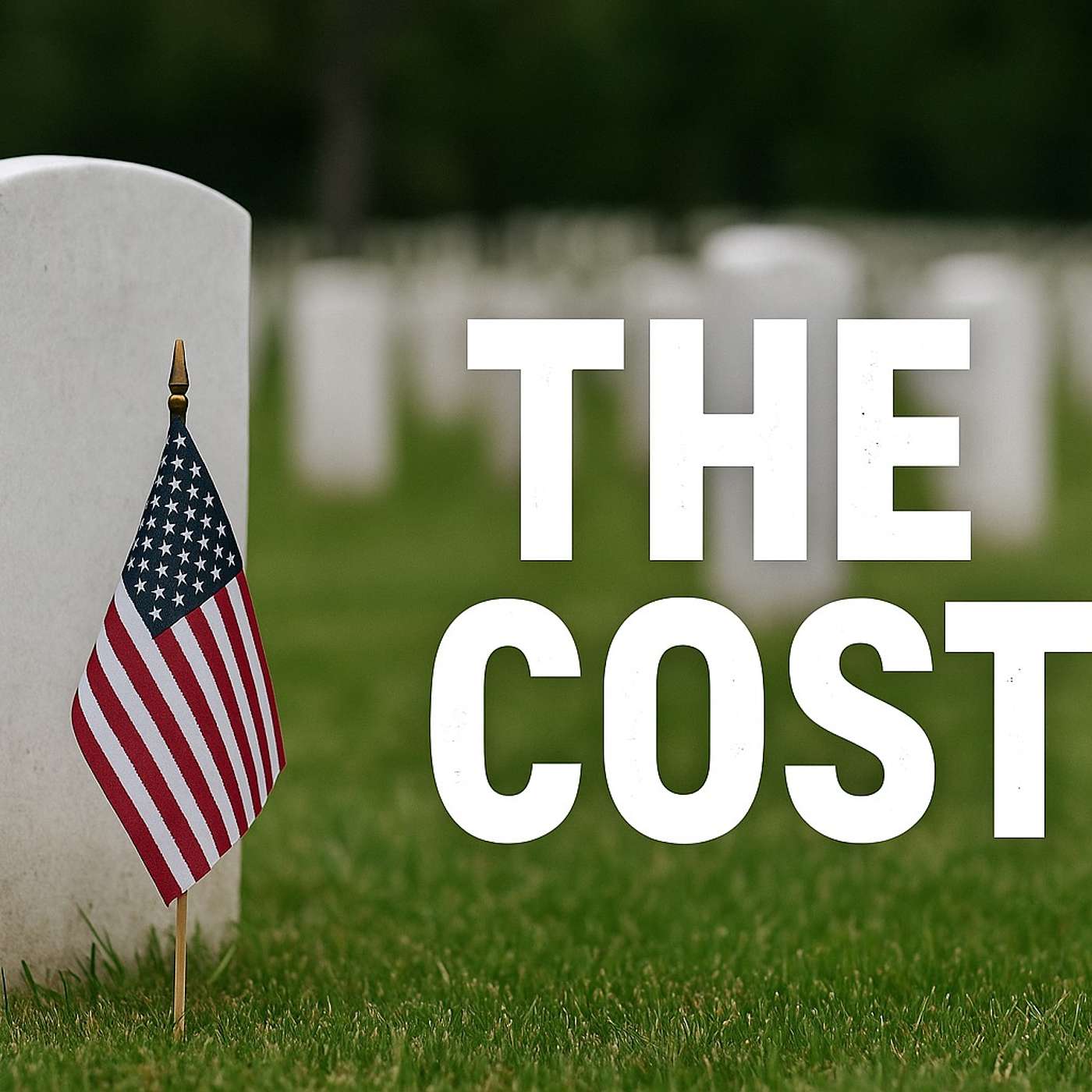 THE COST.  A Memorial Day Tribute.