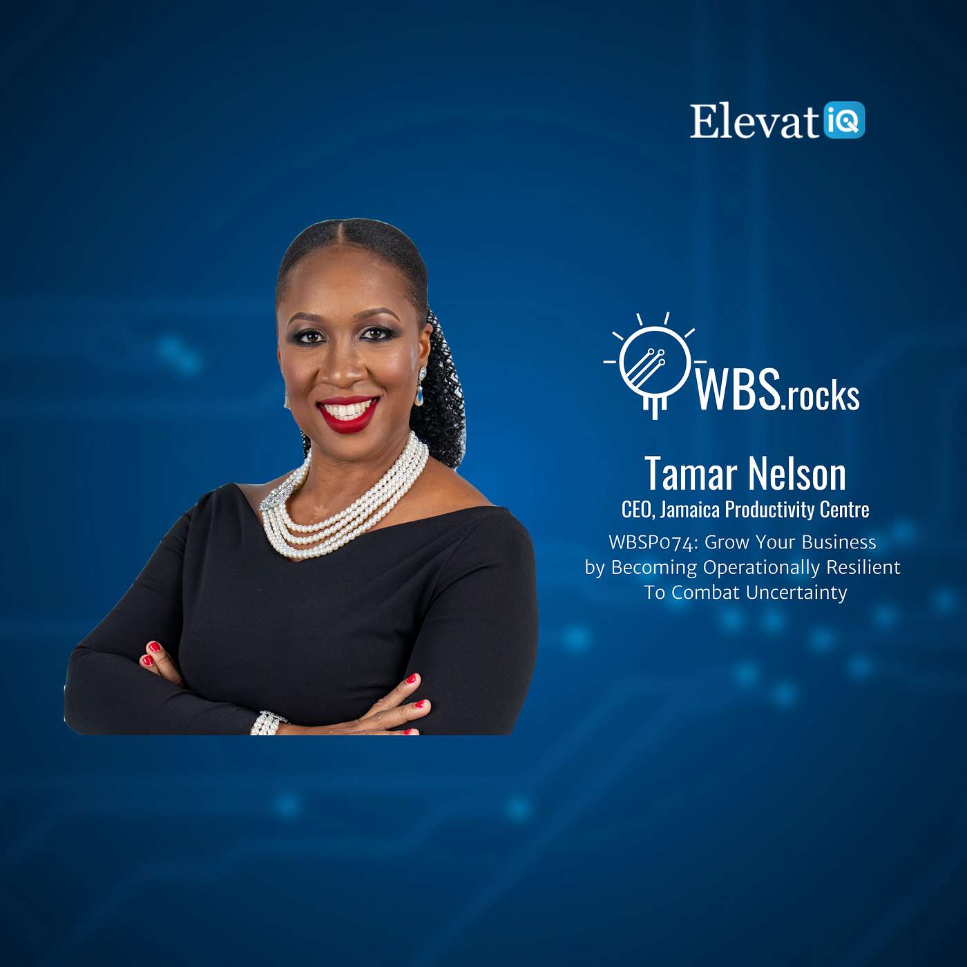 WBSP074: Grow Your Business by Becoming Operationally Resilient To Combat Uncertainty w/ Tamar Nelson