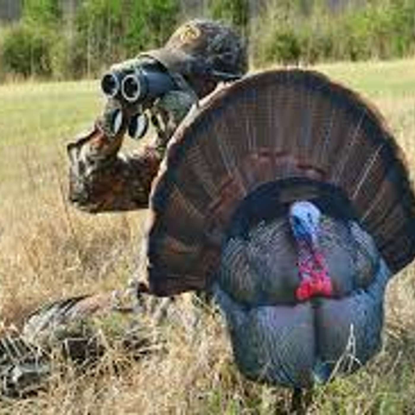American Roots Outdoors w/ Alex Rutledge