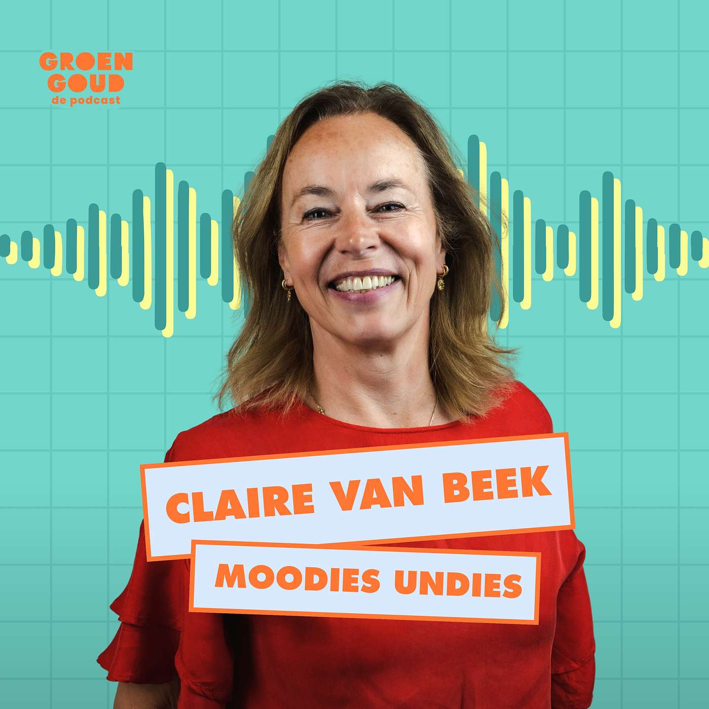 S03E18 -Moodies Undies- Hoe je klanten overtuigt van een product wat ze nog niet kennen episode artwork